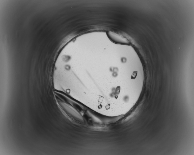 X0000083031137200703022020