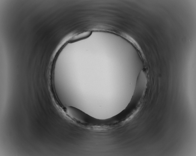 X0000083031138200703022020