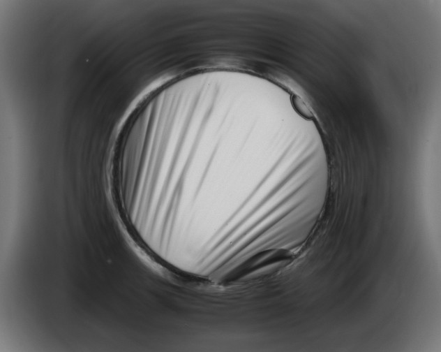 X0000083031139200703022020