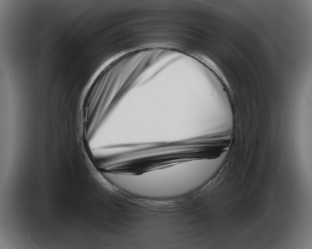 X0000083031140200703022020