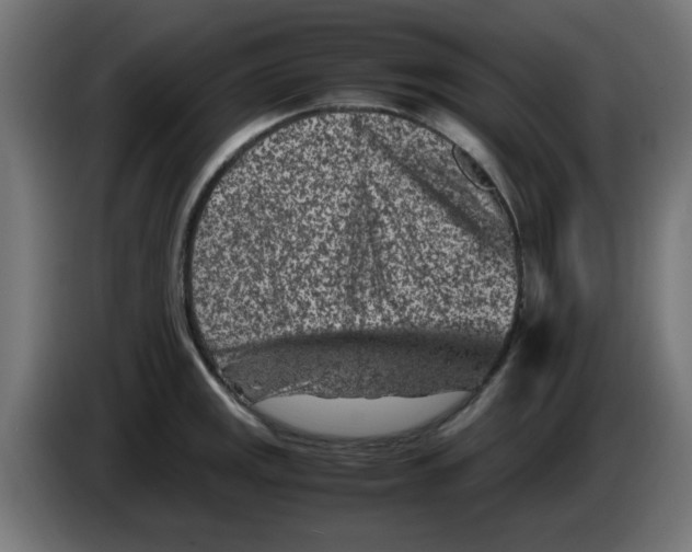 X0000083031141200703022020