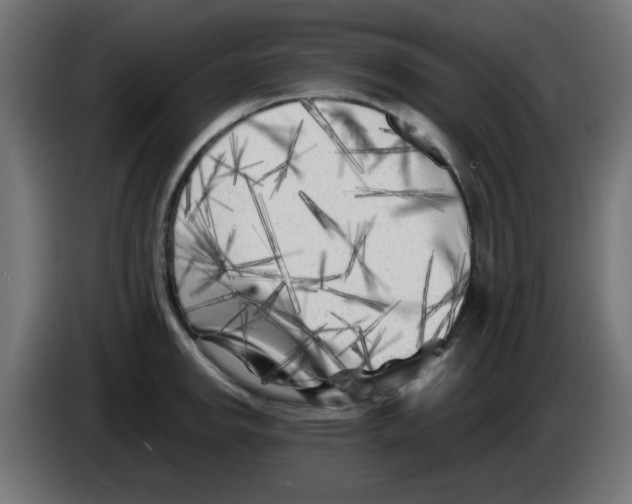 X0000083031142200703022020