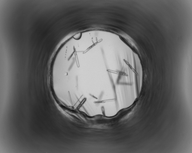 X0000083031143200703022020