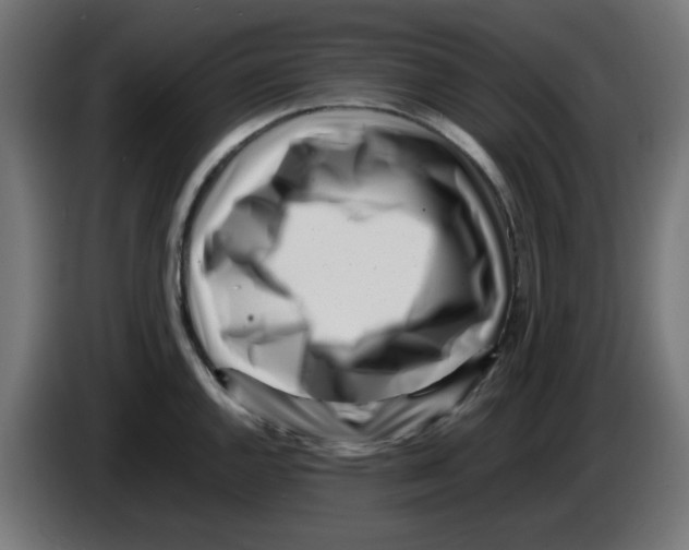 X0000083031144200703022020