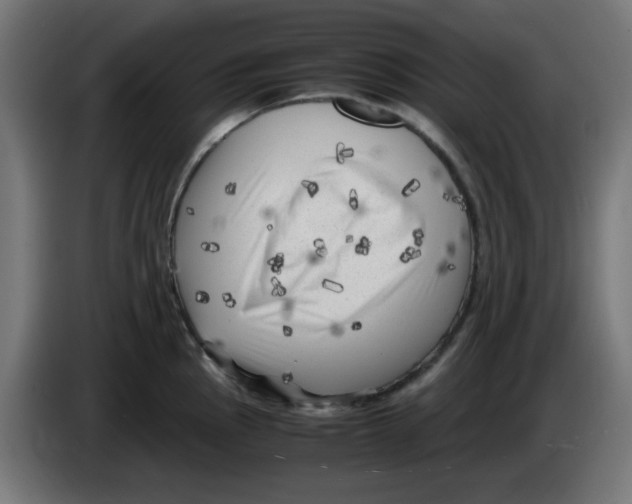 X0000083031145200703022020