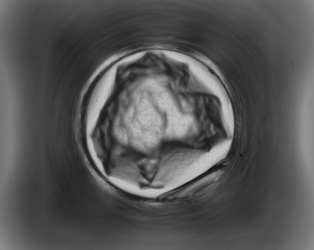 X0000083031147200703022020