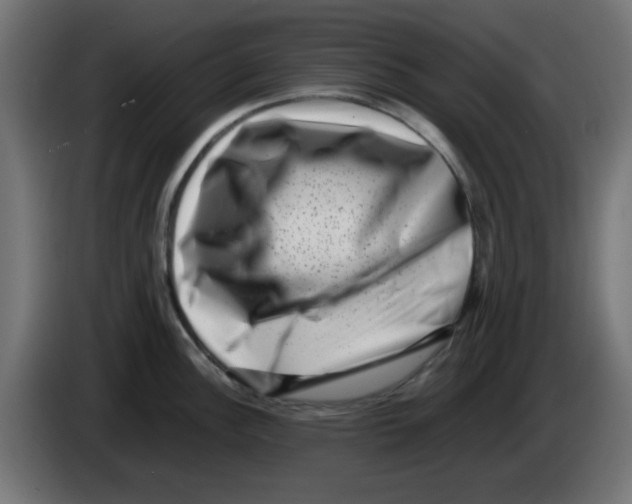 X0000083031148200703022020