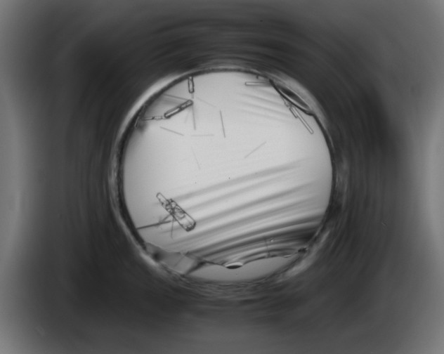 X0000083031149200703022020