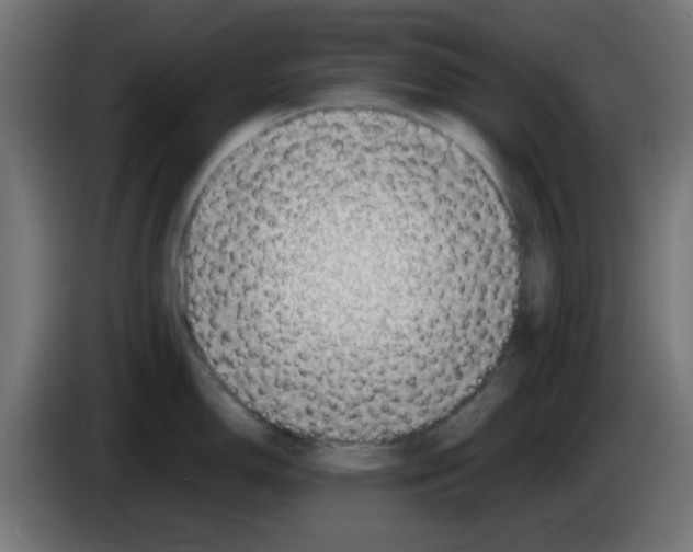 X0000083031150200703022020