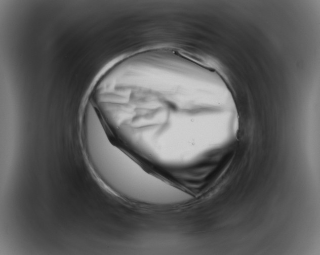 X0000083031151200703022020