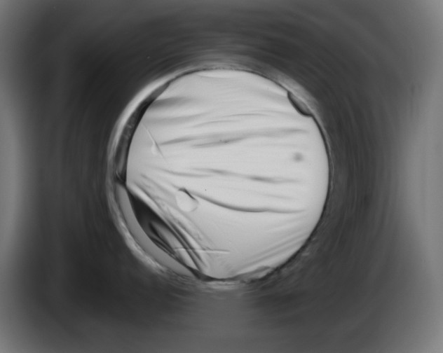 X0000083031152200703022020