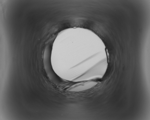 X0000083031153200703022020