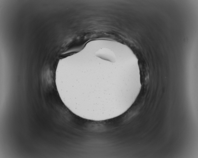 X0000083031156200703022020