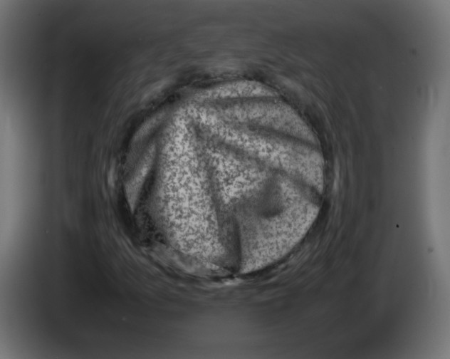 X0000083031157200703022020