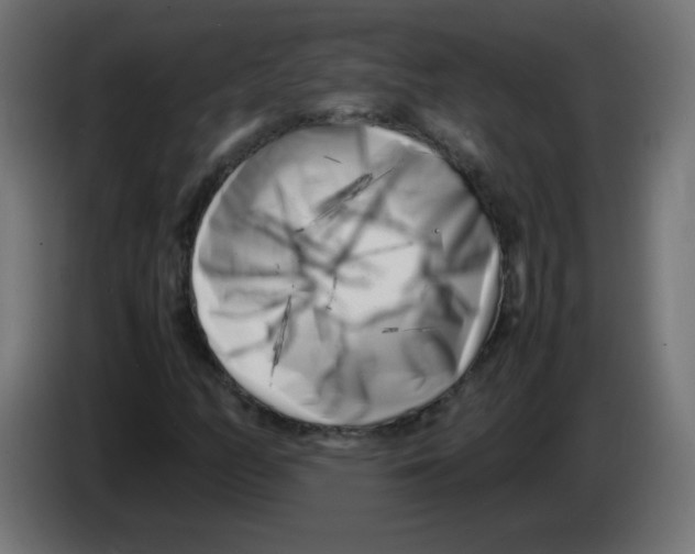 X0000083031158200703022020