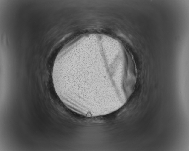 X0000083031159200703022020