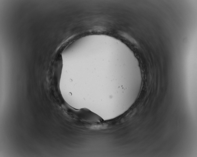 X0000083031160200703022020