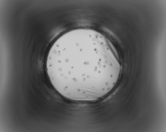 X0000083031162200703022019