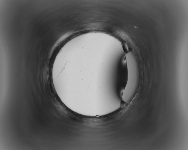 X0000083031164200703022019