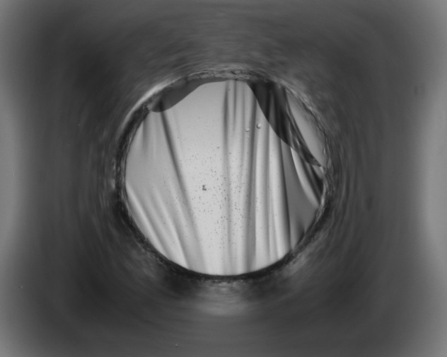 X0000083031165200703022019