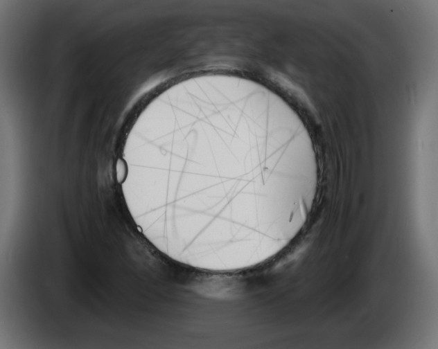 X0000083031166200703022019