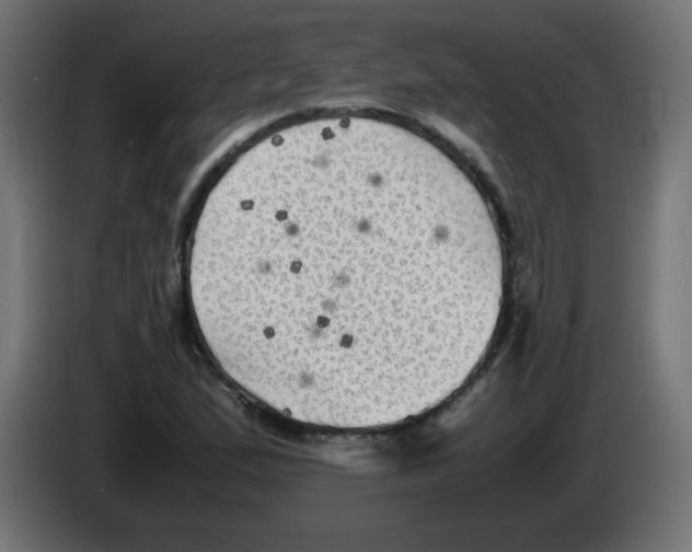 X0000083031167200703022019