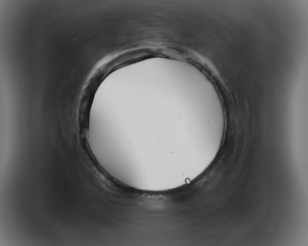 X0000083031168200703022019