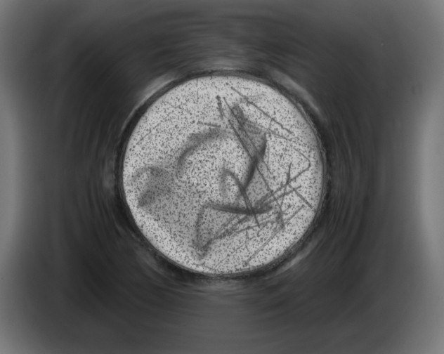 X0000083031170200703022019