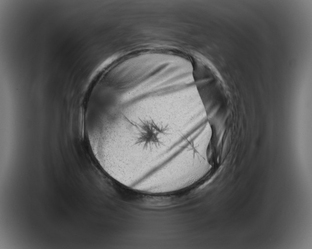 X0000083031171200703022019