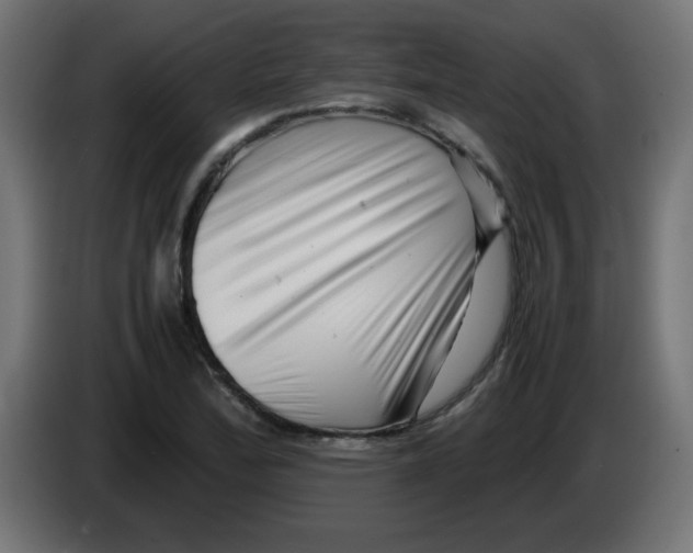 X0000083031172200703022019