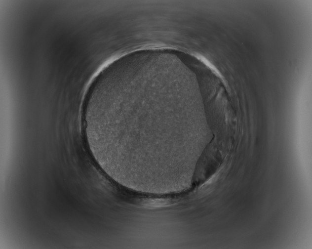 X0000083031173200703022019