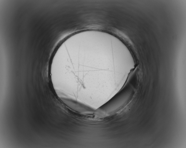 X0000083031174200703022019