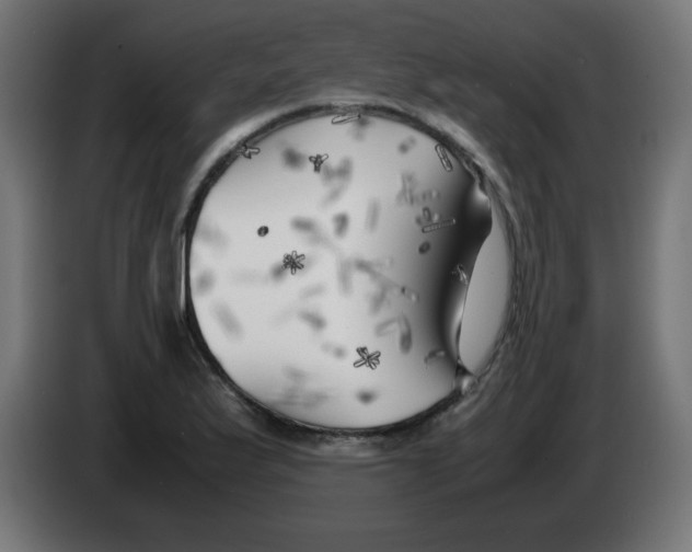 X0000083031175200703022019