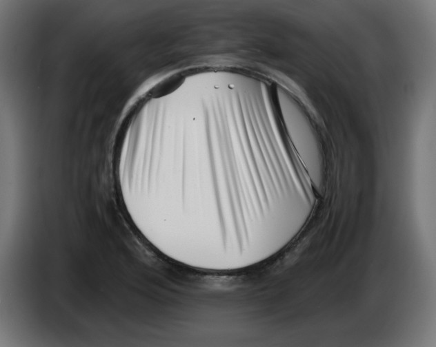 X0000083031176200703022019