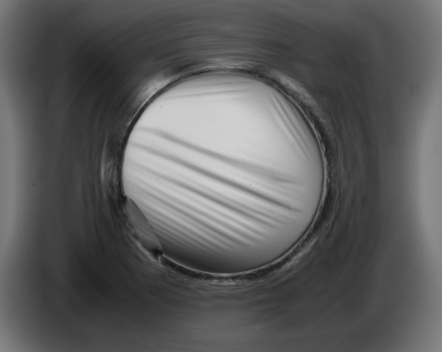 X0000083031177200703022019