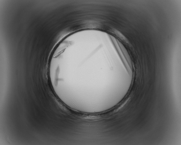 X0000083031178200703022019