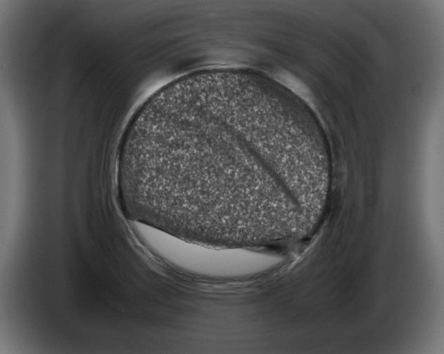 X0000083031179200703022019