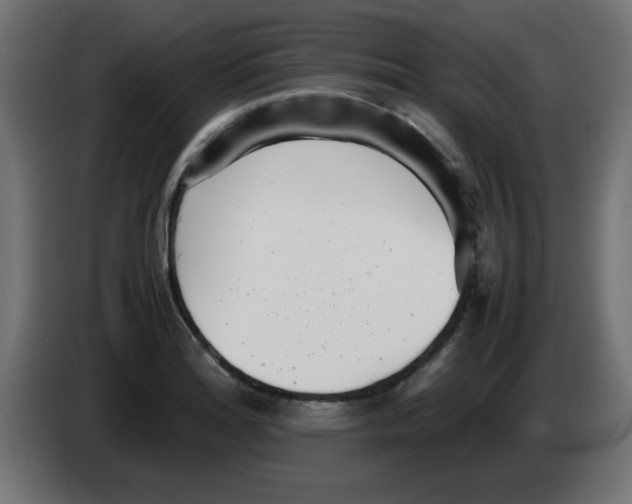 X0000083031180200703022019