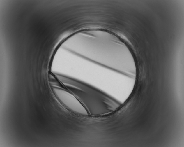 X0000083031181200703022019