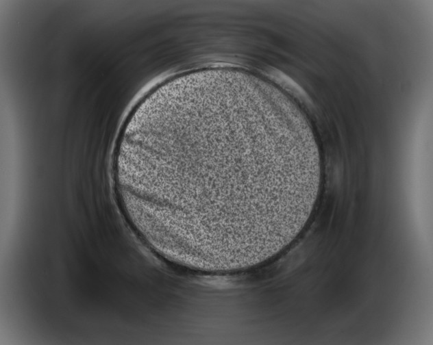 X0000083031182200703022019