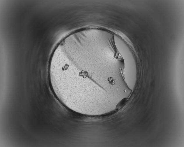 X0000083031183200703022019