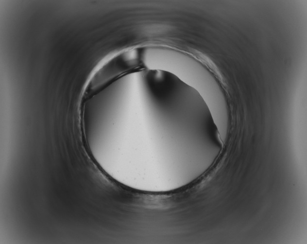 X0000083031184200703022019