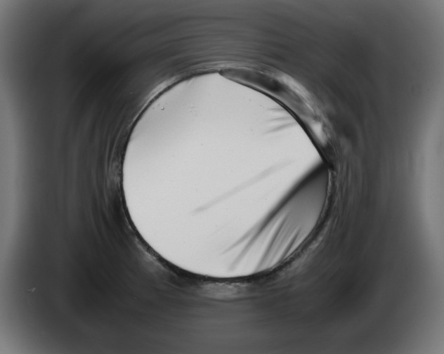 X0000083031185200703022019