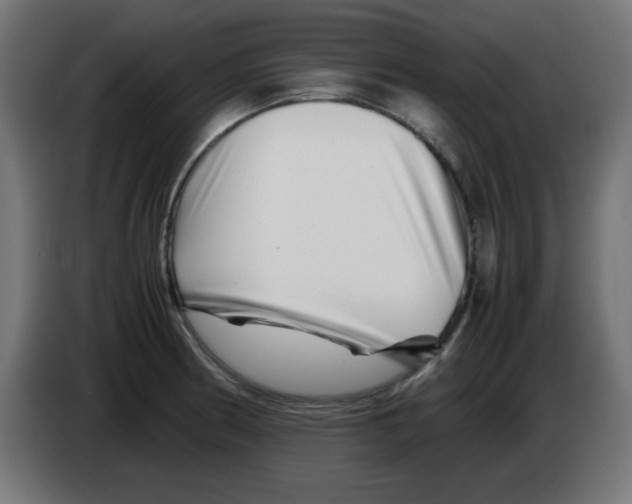 X0000083031186200703022019