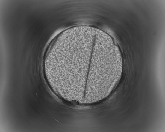 X0000083031187200703022019