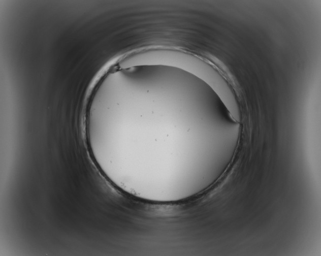 X0000083031188200703022019