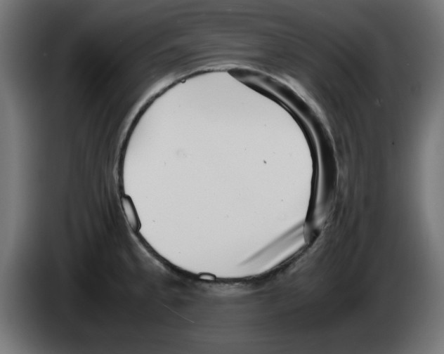 X0000083031189200703022019