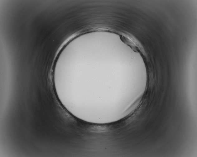 X0000083031190200703022019