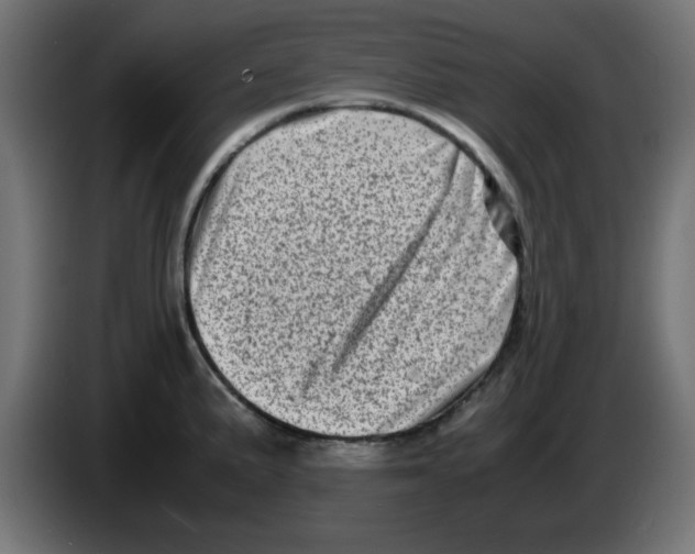 X0000083031191200703022019