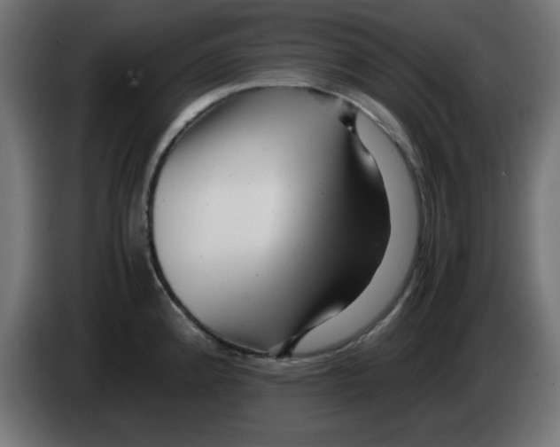 X0000083031192200703022019